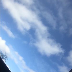 Meet your Posher, Lilly